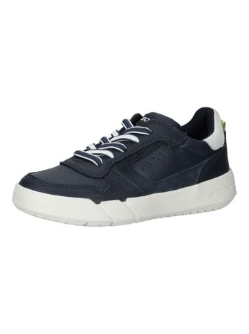 Geox Sneaker in Navy/Weiß