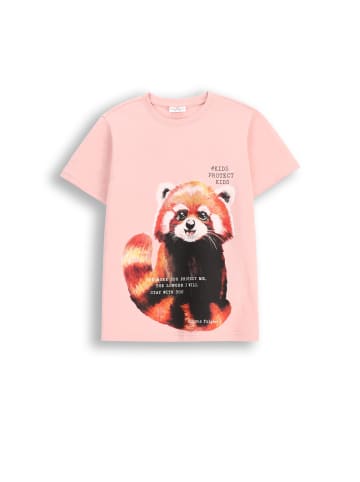 Coccodrillo T-Shirt mit kurzen Ärmeln in gedämpftes Rosa