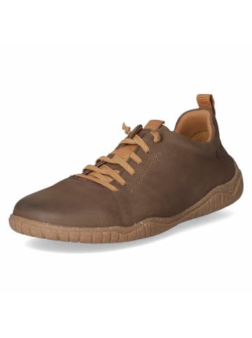 Josef Seibel Schnürhalbschuh in brown