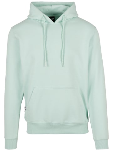  Cayler & Sons  Cayler & Sons Kapuzenpullover in bird's egg green