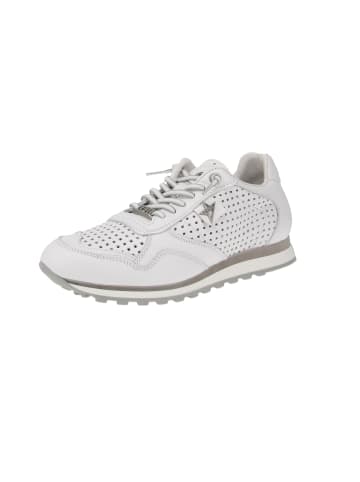 Cetti Sneaker low C-848 EXP V25 in Weiß