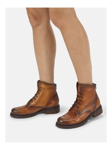 Felmini Stiefelette COOPER in Mittelbraun
