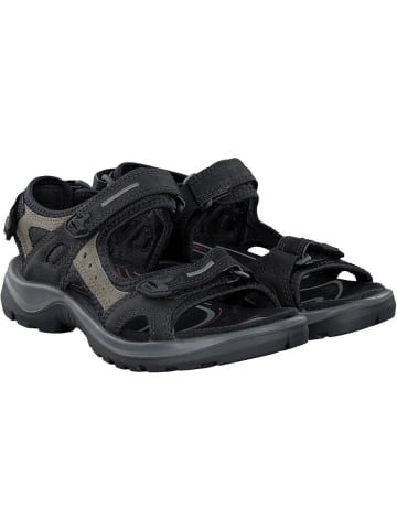 Ecco Sandalen in Schwarz