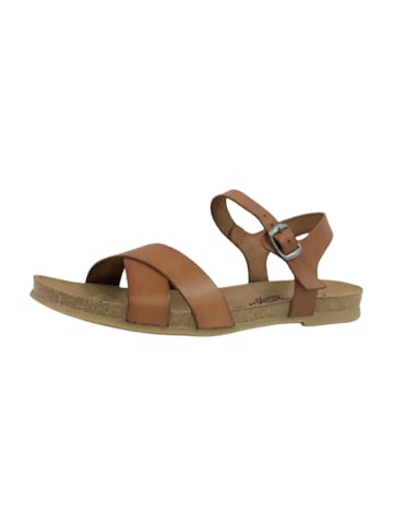 Cosmos Comfort Komfort Sandalen in Braun