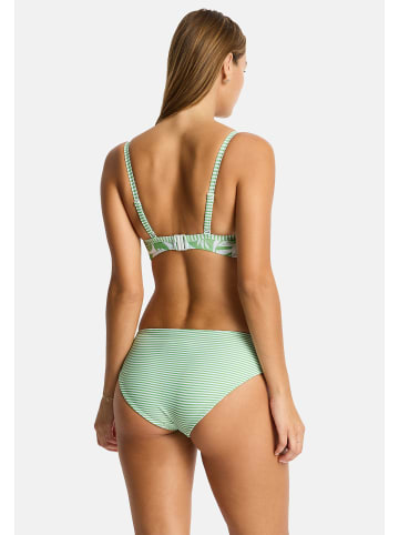 Sea Level Reef Unterteile in Matcha