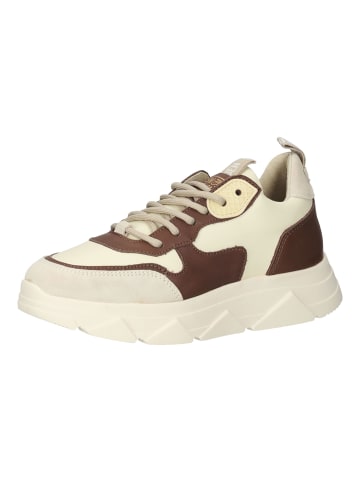 Steve Madden Sneaker in Beige/Braun