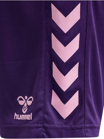 Hummel Verstellbare Taille Kurze Hose Hmlcore Kinder in ACAI