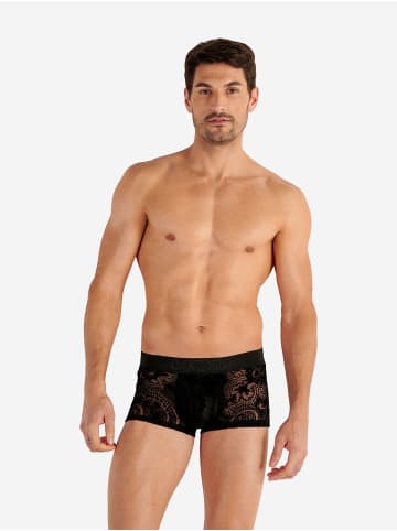 HOM Trunk Rhapsody in Black