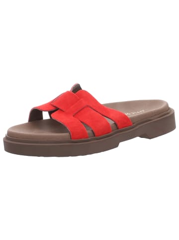 Apple of Eden Pantolette in rot
