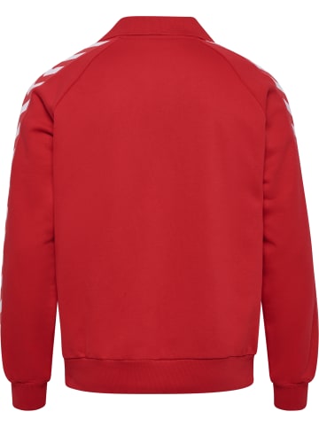 Hummel Polo Hmli-D Erwachsene in SALSA