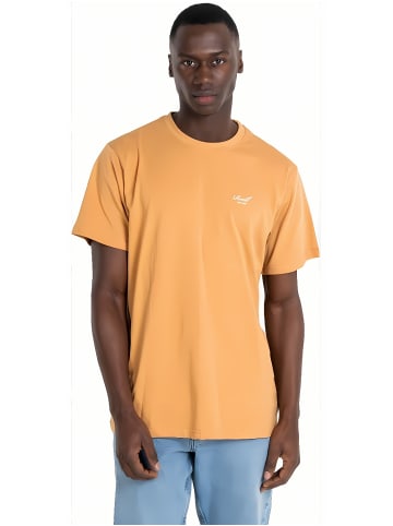 Reell T-Shirt "Staple Logo T-Shirt" in Orange