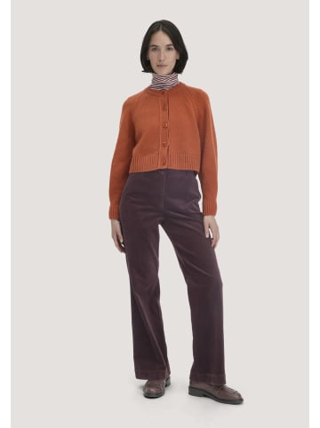 Hessnatur Cordhose in schwarzbeere