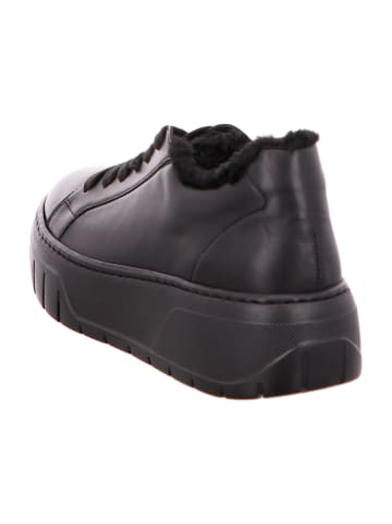 Gabor Plateau Schnürschuhe in Schwarz