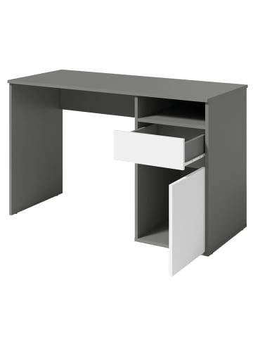 Feldmann-Wohnen Schreibtisch Billa graphit / weiß 120 / 53 / 75,5cm