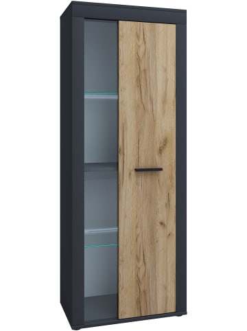 VCM  Schrank Vitrine Wohnzimmer Holz Glas Usilo in Anthrazit / Honig-Eiche