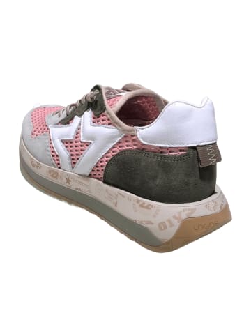 Cetti Sneaker Low in Grau