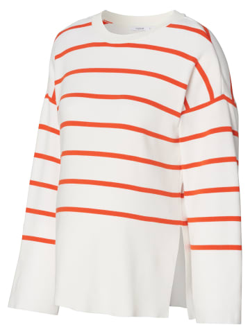 Noppies Still-Pullover Jair in Tango Red Stripe