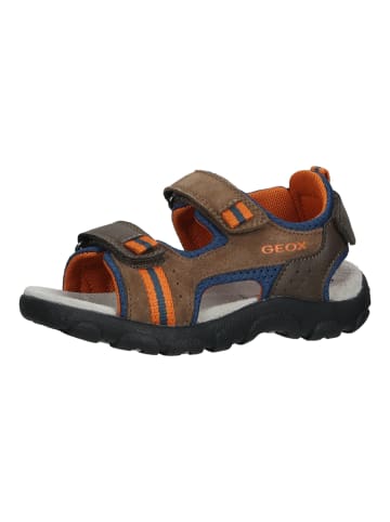 Geox Sandalen in Braun/Blau