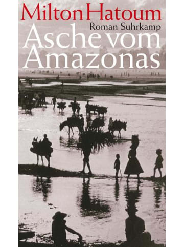 Suhrkamp Roman - Asche vom Amazonas