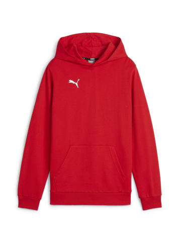 Puma Sweatshirt teamGOAL Casuals Hoody Jr in rot