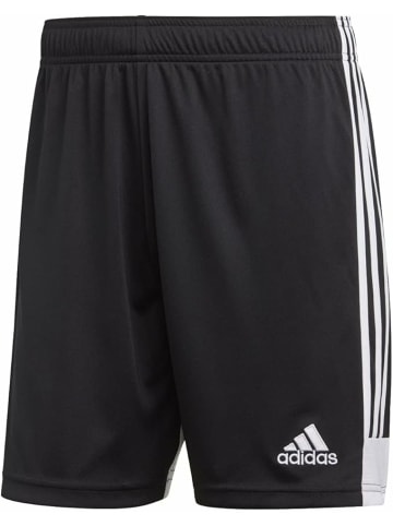 adidas Shorts für Jungen in uni
