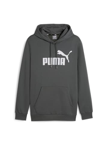 Puma Sweatshirt in Grau