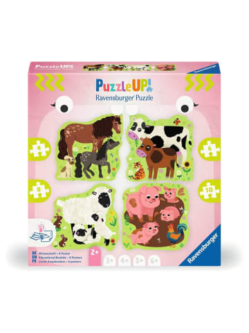 Ravensburger Puzzle 4 + 6 + 8 + 10 Teile Kinderpuzzle 4, 6, 8, 10 Teile - Bauernhoftiere Ab 2 Jahre in bunt