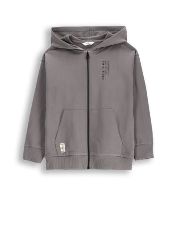 Coccodrillo Sweatshirt in schwarzgrau