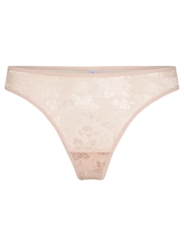 comazo Mini-Slip mit Spitze in Muschel