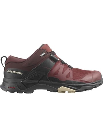 SALOMON Trekkingschuhe SHOES X ULTRA 4 GTX W in Rot