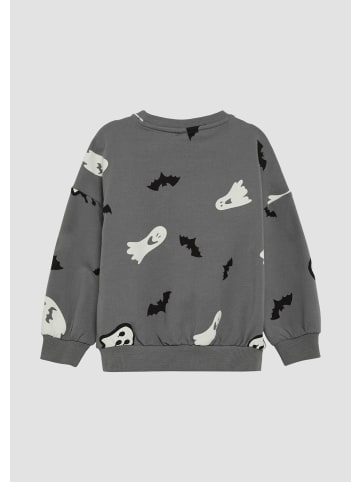s.Oliver Sweatshirt in 94A1_grau