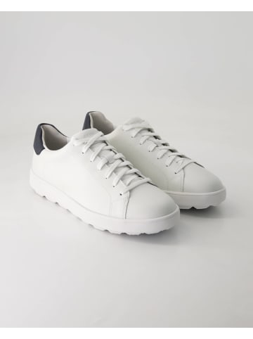 Geox Sneaker low in Weiß