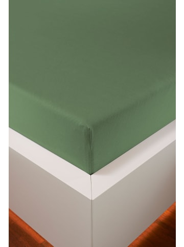 bellana jersey Spannbetttuch Edel-Jersey  Elasthan in schilf