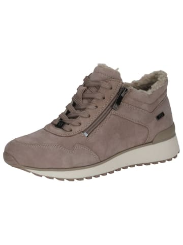 Caprice Sneaker in TAUPE SUEDE