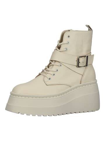 Steve Madden Stiefelette in Bone