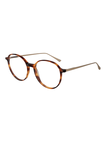 Taylor Morris Unisex Optische Fassungen Panto Braun