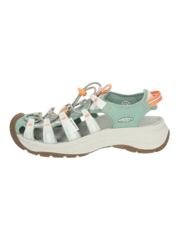 Keen Wanderschuhe in Mint