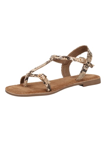 Lazamani Sandalen in Beige