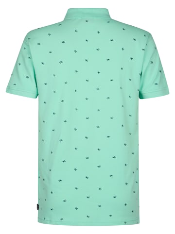 Petrol Industries Piqué-Poloshirt OlaVerde in Grün