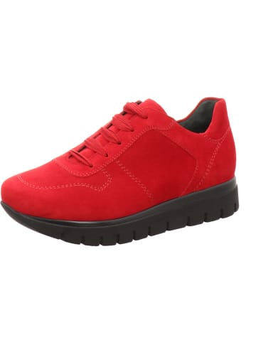 Semler Sneaker Low in rot