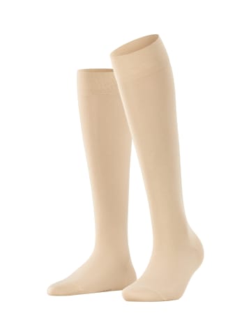 Falke Kniestrümpfe Cotton Touch in Cream