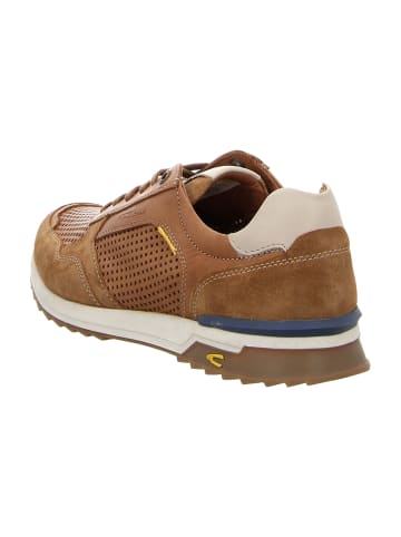 Camel Active Sportliche Schnürschuhe in Braun