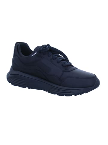 Xsensible Lowtop-Sneaker Golden Gate in Black