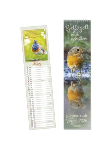 Kawohl Kalender - Beflügelt und gehalten 2026
