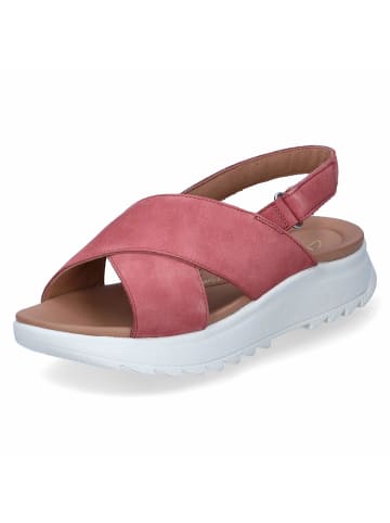 Clarks Sandalen DASHLITE WISH in Rosa