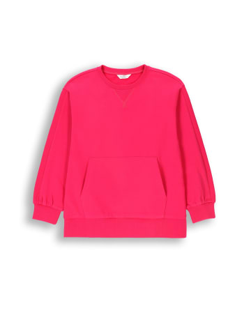 Coccodrillo Sweatshirt in fuchsie