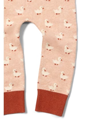 Little Green Radicals Organic Cotton Knitted Joggers in Oatmeal