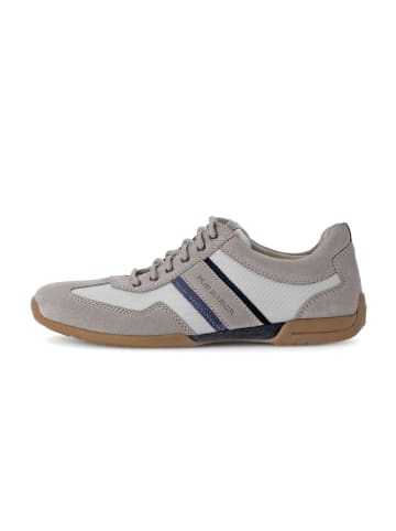 Gabor Sneaker low in grau