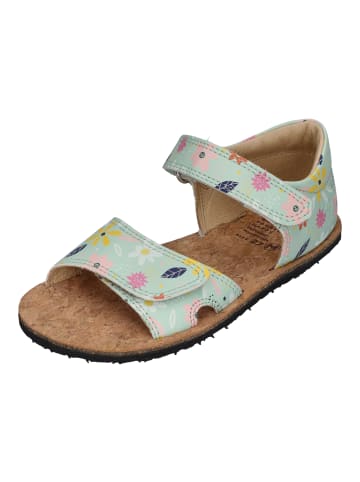 KOEL Sandalen AMELIA PRINT in grün