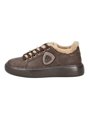 BLAUER USA Sneaker in Dunkelbraun